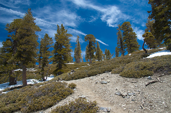 5-21-11Mt Baldy-8