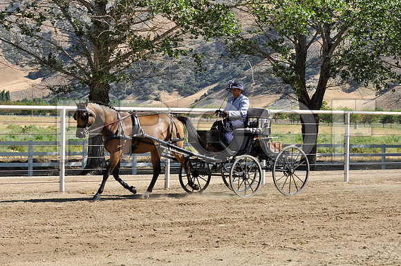 PD-#14-DSC_0081
