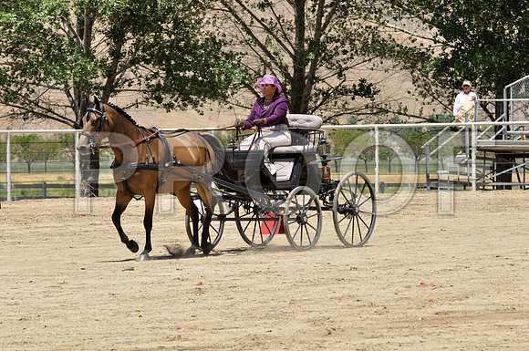PD-#14-DSC_0115-1