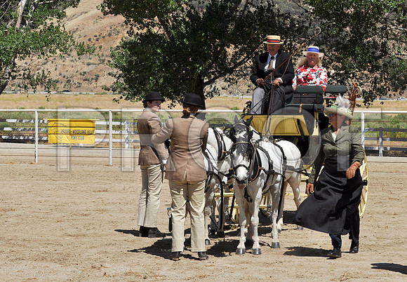 PD-#21-DSC_0793