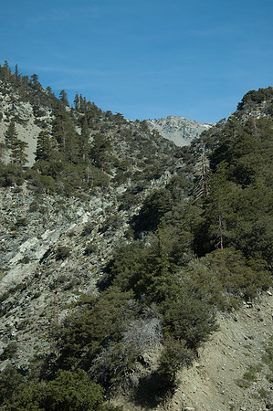 5-21-11Mt Baldy-2