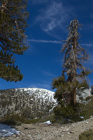 5-21-11Mt Baldy-6