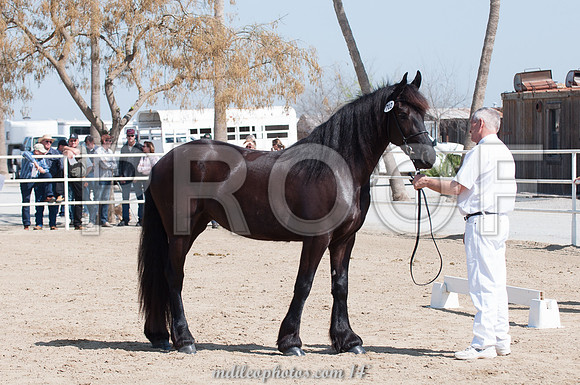 M-702-DSC_0531