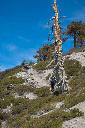 5-21-11Mt Baldy-5