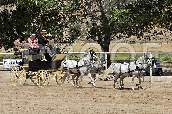 PD-#21-DSC_0756