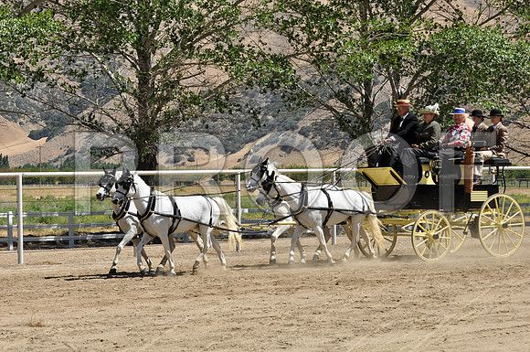 PD-#21-DSC_0732