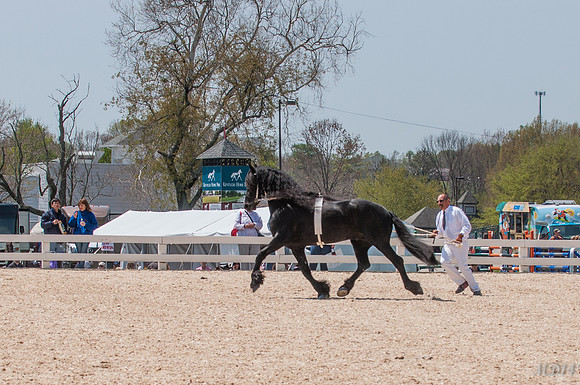 ROLEX14_D1-0058