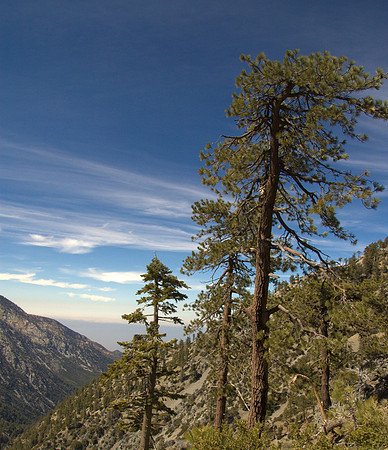 5-21-11Mt Baldy-3