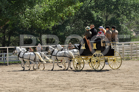 PD-#21-DSC_0730