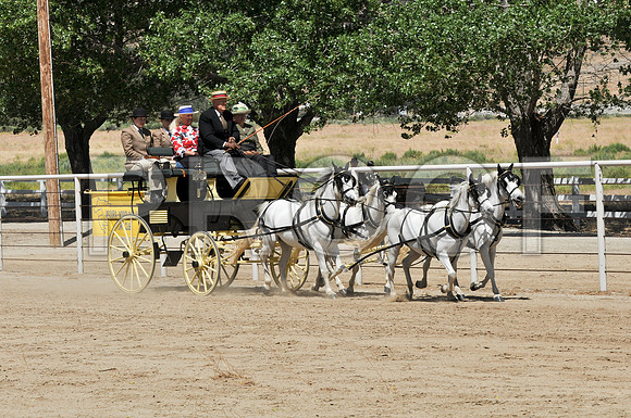 PD-#21-DSC_0752
