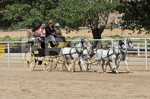 PD-#21-DSC_0753