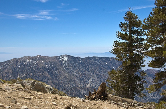 5-21-11Mt Baldy-7