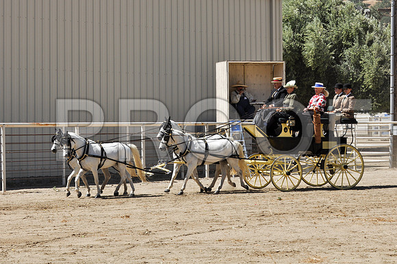 PD-#21-DSC_0734