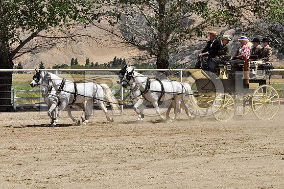 PD-#21-DSC_0736